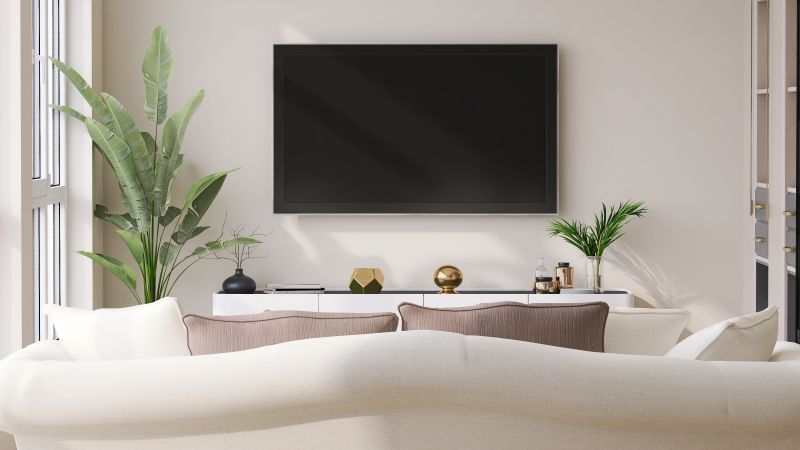 Wall-Mounted TV in Living Room
